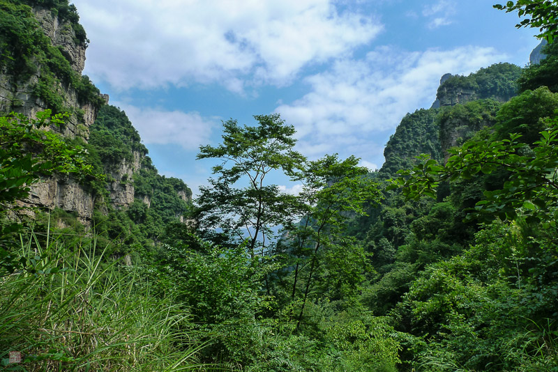 彭-78.jpg