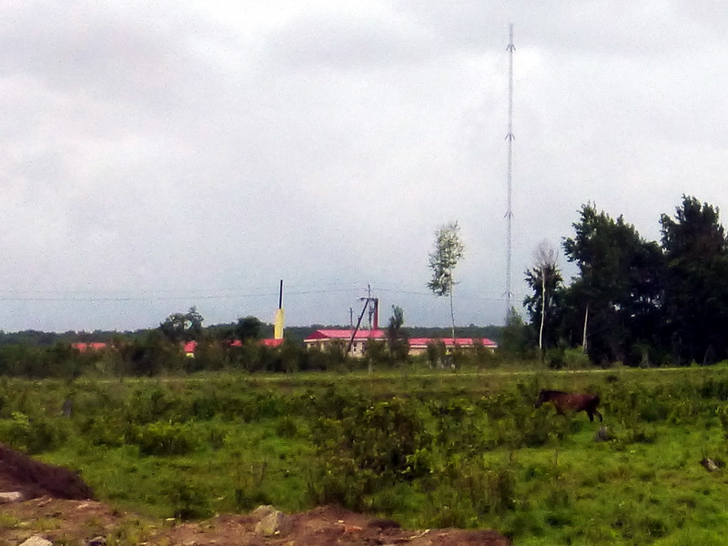 p1230043.jpg