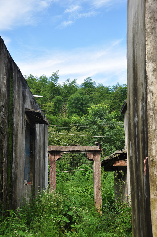 dsc_0171_.jpg