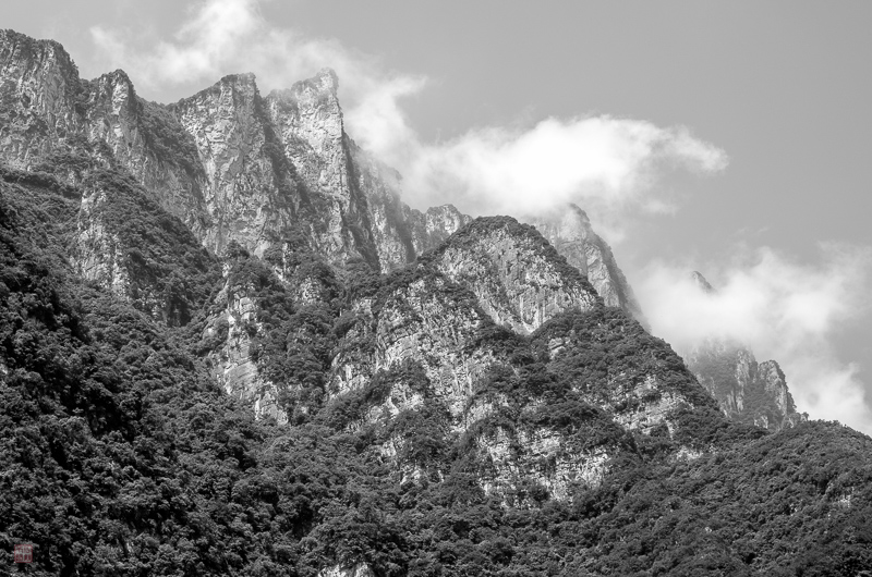 彭-24.jpg