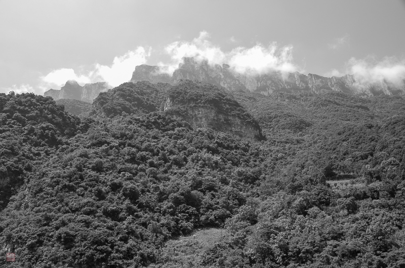 彭-26.jpg