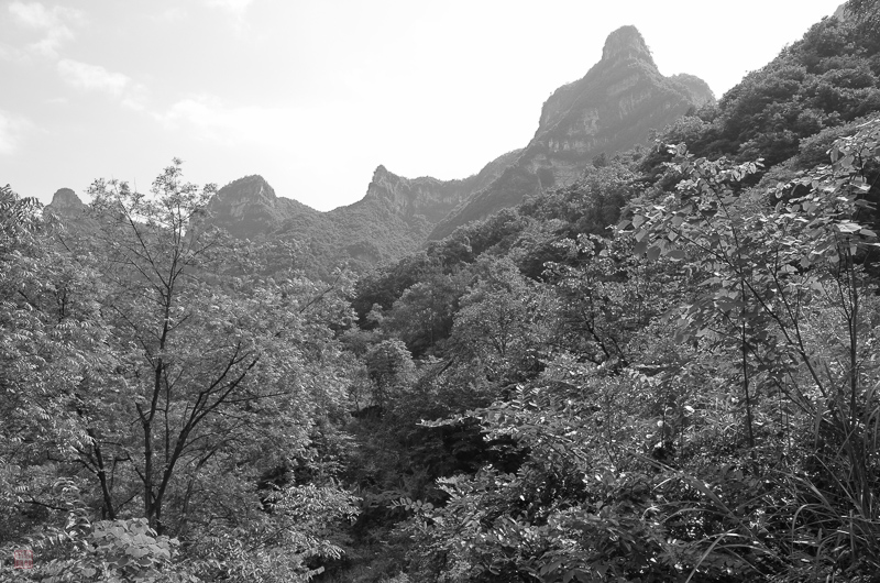 彭-32.jpg