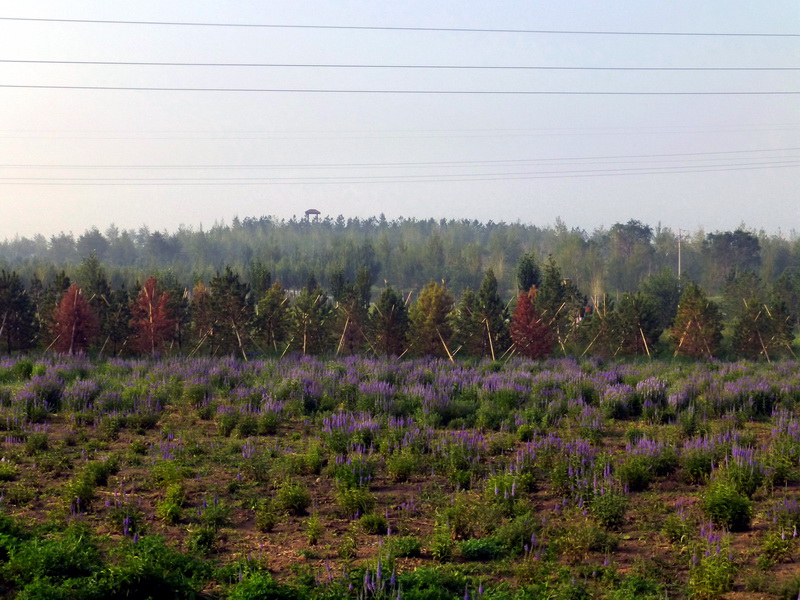 p1230235.jpg