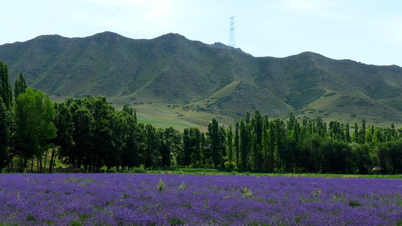 p1000657_.jpg
