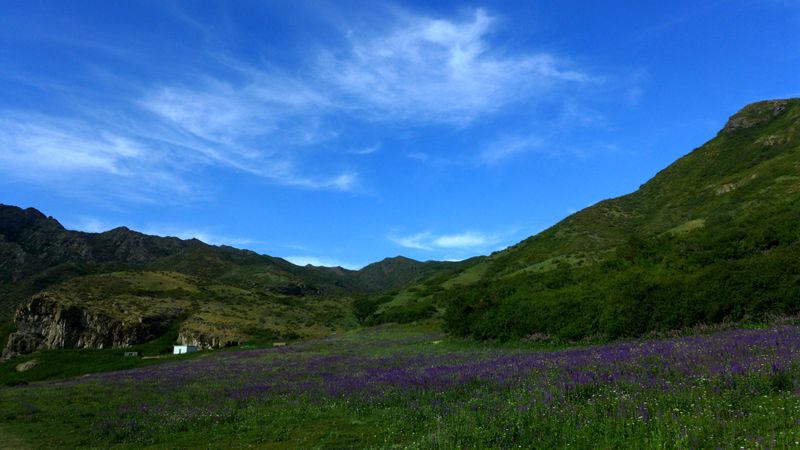 p1010014_.jpg