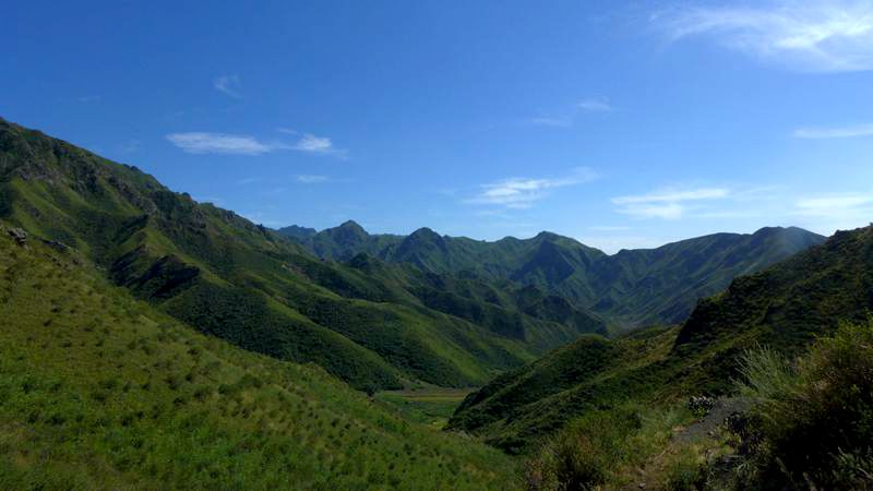 p1000979_.jpg