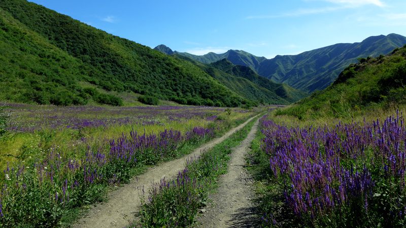p1000988_.jpg