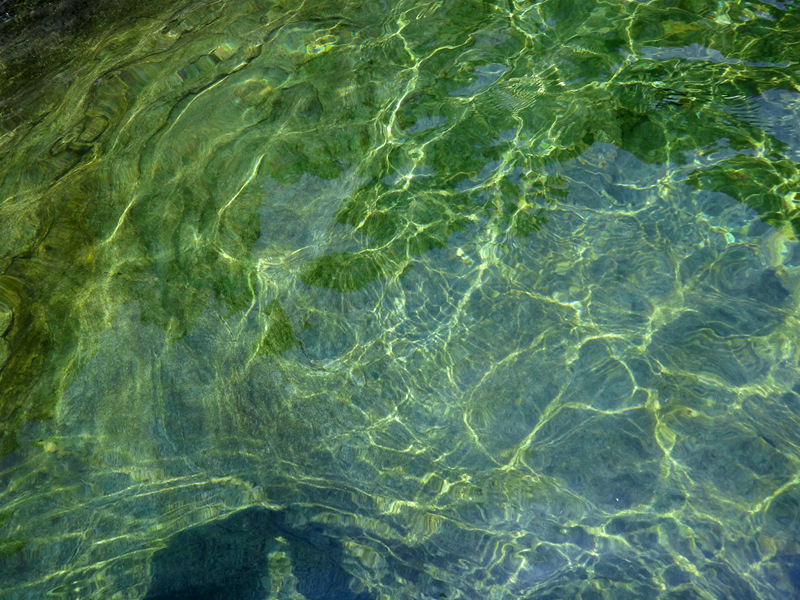 dsc07067__.jpg