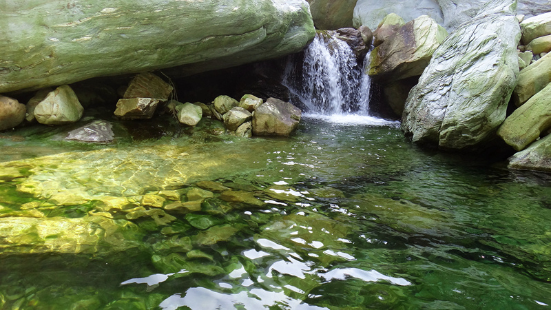 dsc06962__.jpg