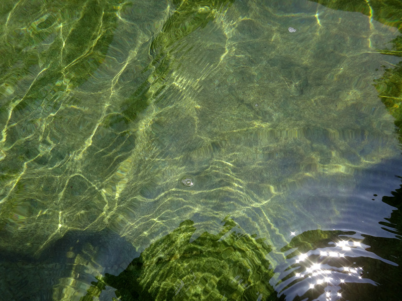 dsc07068__.jpg