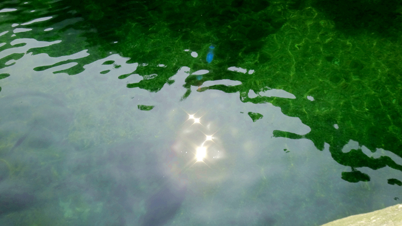 dsc06928__.jpg