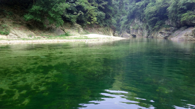 dsc06725__.jpg