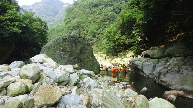 dsc06773__.jpg