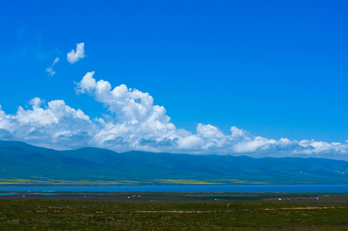 dsc_2416.jpg