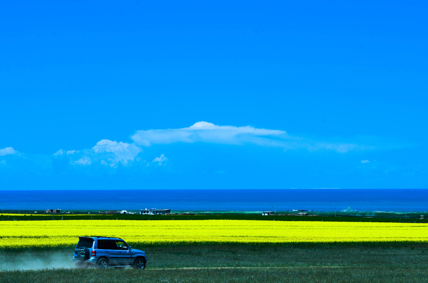 dsc_2443.jpg