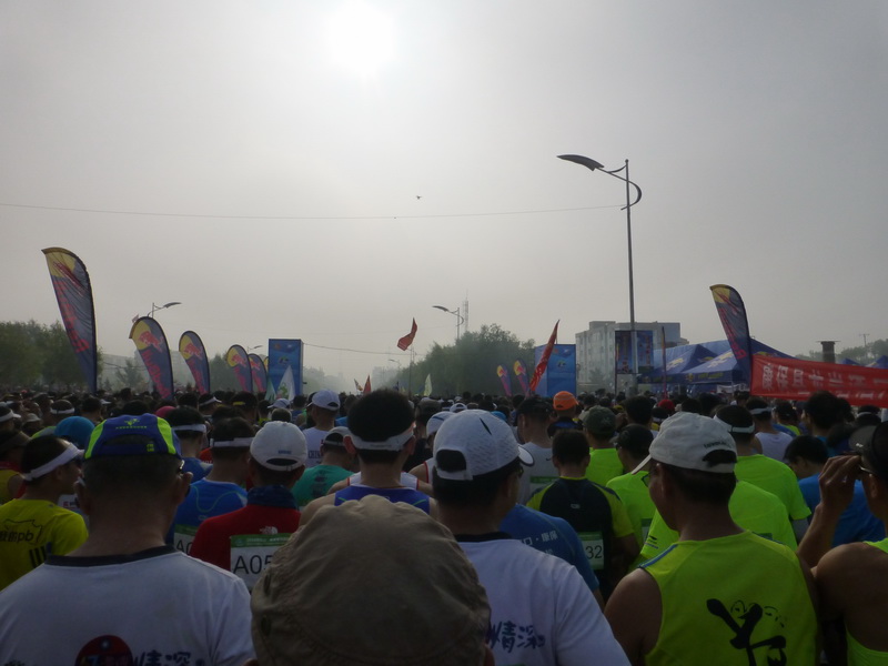 p1230389.jpg