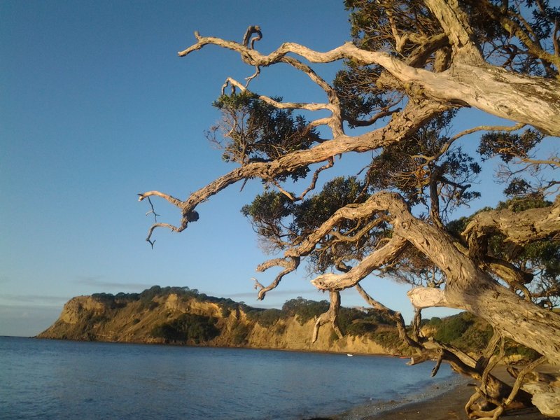 20140726_165252.jpg