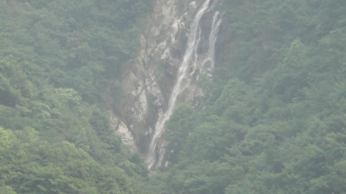 dsc07417.jpg