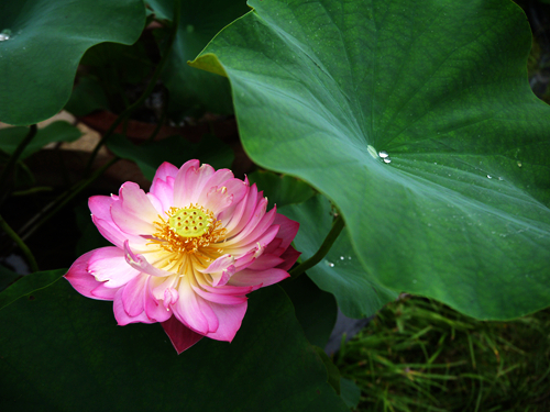p1040636_.jpg