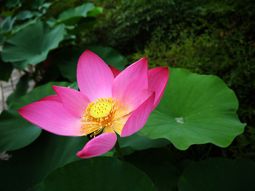 p1040639_.jpg