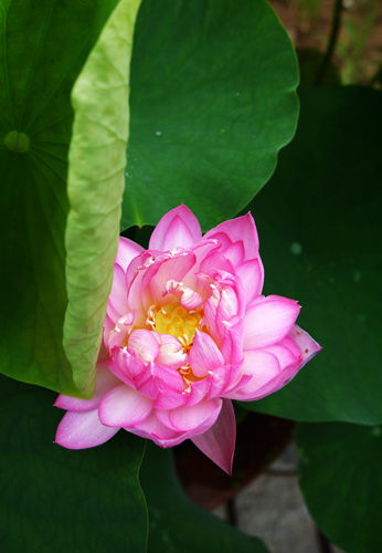 p1040641_.jpg