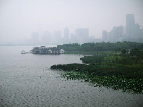 p1040676_.jpg