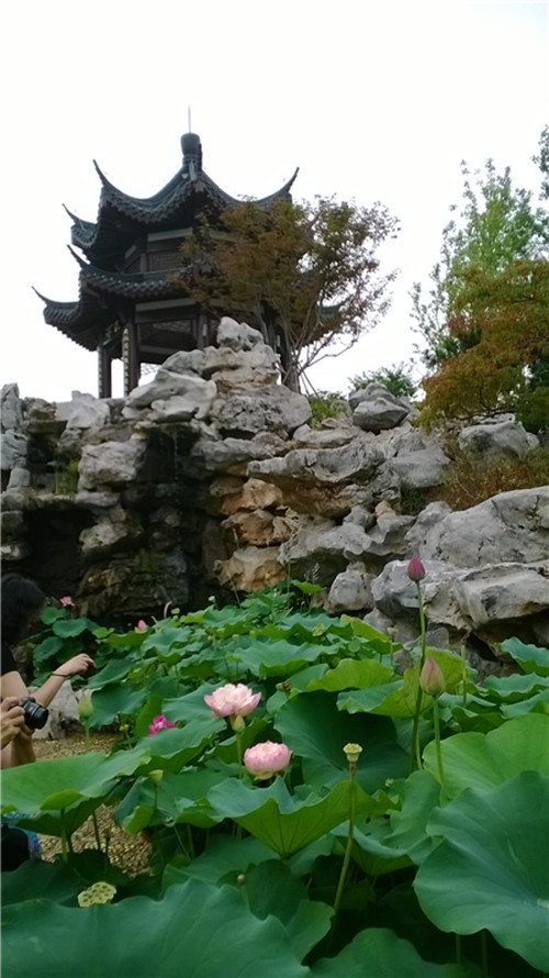 medialib_camera roll_wp_20140701_013_.jpg