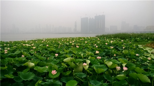 medialib_camera roll_wp_20140701_051_.jpg