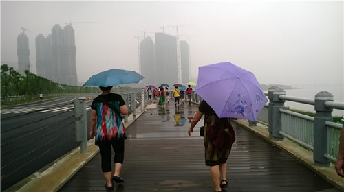 medialib_camera roll_wp_20140701_044_.jpg
