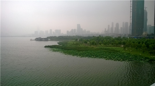 medialib_camera roll_wp_20140701_049_.jpg