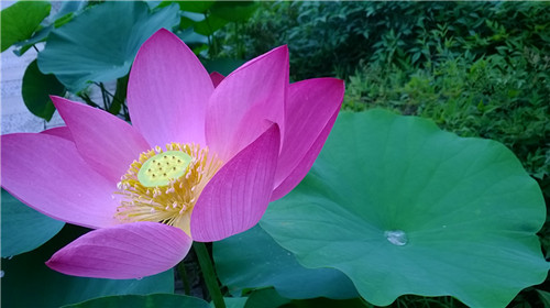 medialib_camera roll_wp_20140701_003_.jpg