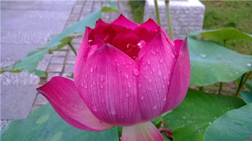 medialib_camera roll_wp_20140701_036_.jpg