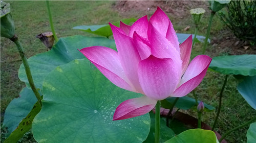 medialib_camera roll_wp_20140701_033_.jpg