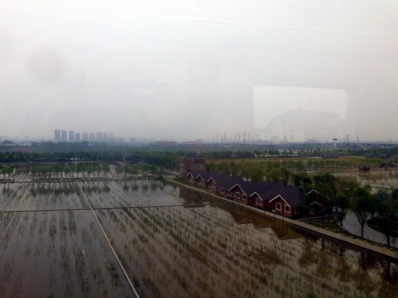 p1230100.jpg