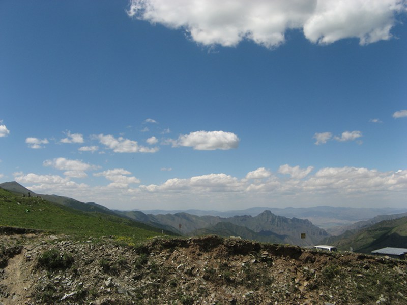 img_6005.jpg