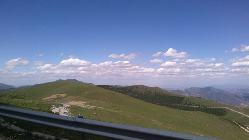 img_20140609_135854_9.jpg