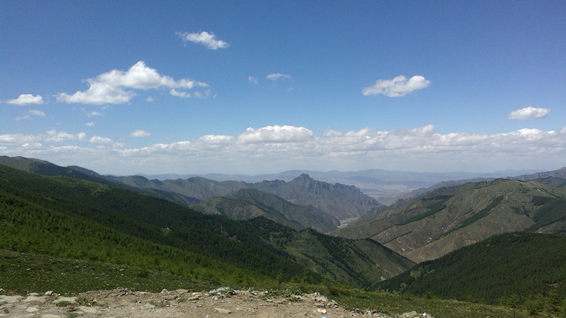 img_20140609_135957.jpg