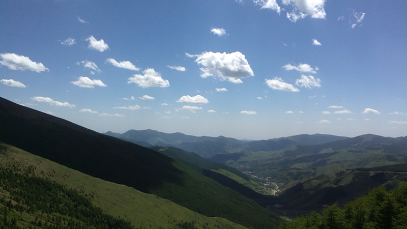 img_20140609_140312.jpg