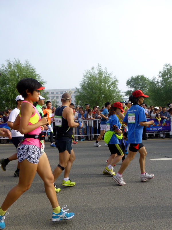 p1230396.jpg