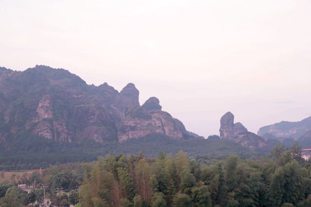 79.jpg