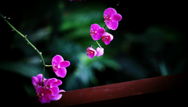 img_5299_副本1.jpg
