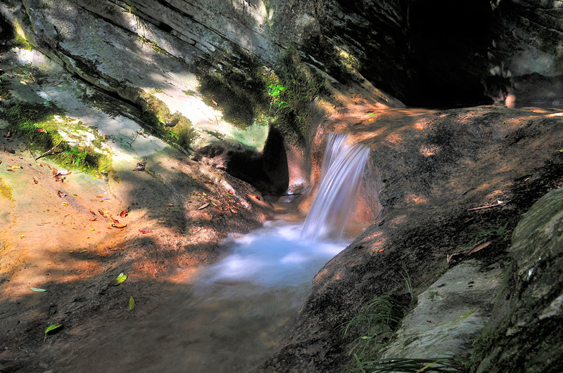 dsc_3154_.jpg