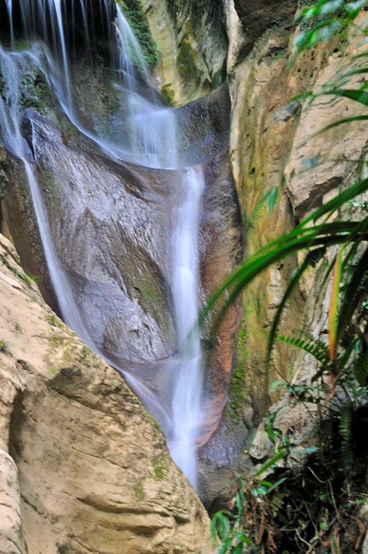 dsc_3188_.jpg