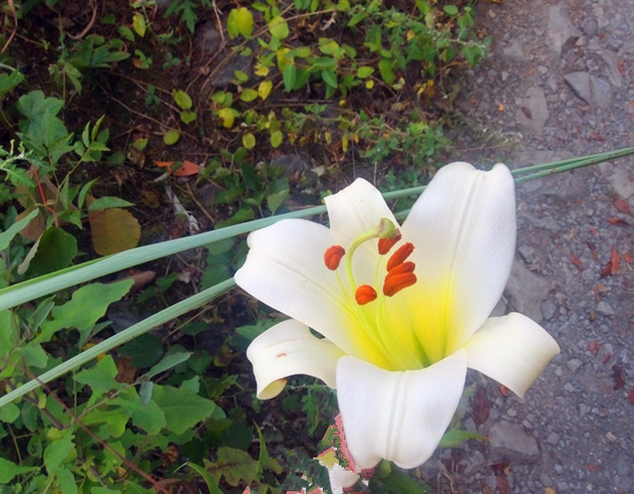 dscf9773_.jpg