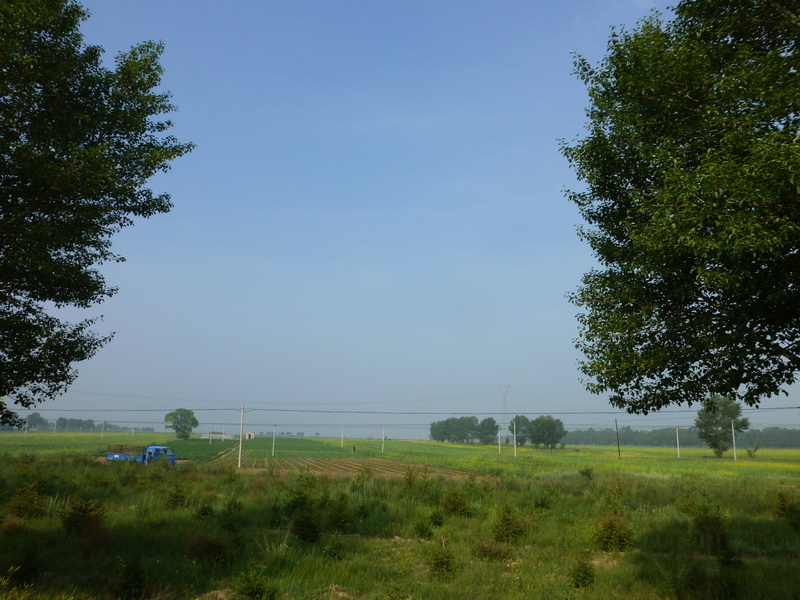 p1230416.jpg