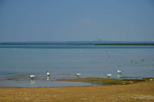 _dsc1930_.jpg