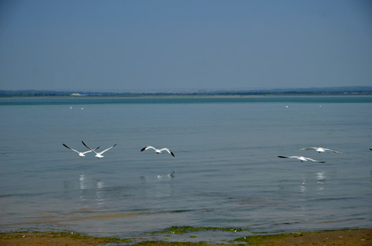_dsc1932_.jpg