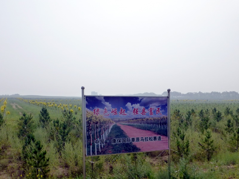 p1230429.jpg