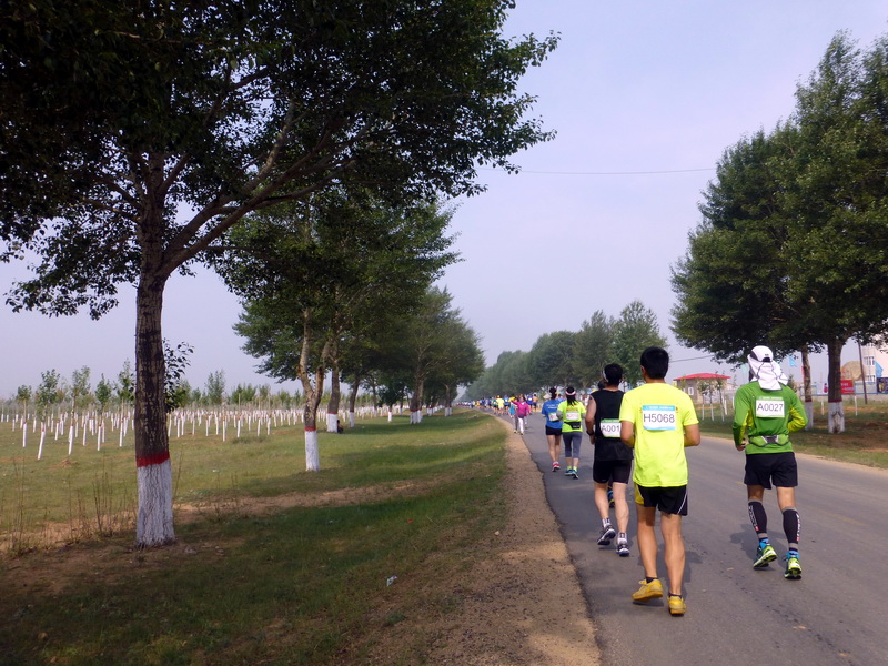 p1230437.jpg
