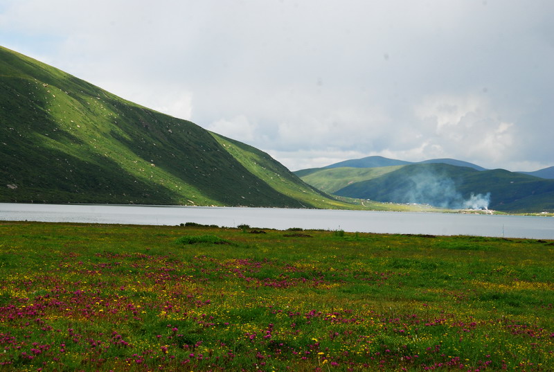 dsc_1197.jpg